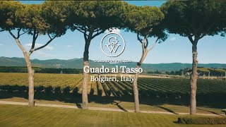 Guado al Tasso Bolgheri [upl. by Eignat]