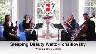 Sleeping Beauty Waltz  The Sleeping Beauty Tchaikovsky Wedding String Quartet [upl. by Aihsined]