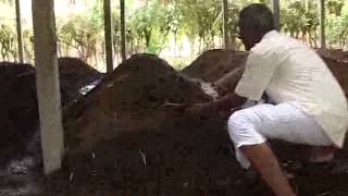 Organic Farming  A Success Story in Tamil Nadu India [upl. by Ranger119]