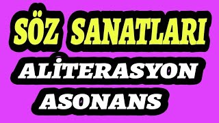 Söz Sanatları 16 Aliterasyon Asonans Akrostiş Lebdeğmez Rücu Tedric Terdit Dudak Değmez Nedir AYT [upl. by Chun]