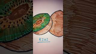 Kiwi beautifully coloured kiwi drawing  kiwi sketch drawing [upl. by Padget627]