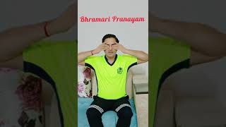 Bhramari Pranayam। How to do Bhramari Pranayam। Yoga for Mental disorders।Yoga for Anxiety [upl. by Grey]