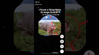 🦏 I Found a Flying Raino On Google Earth 🗺️📍shorts ytshorts mysteryofmygeo [upl. by Renado408]