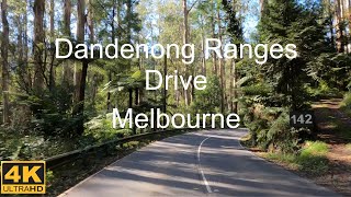 Drive In Dandenong Ranges  Melbourne Australia  4K UHD [upl. by Darren]