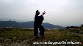 Wudang Tai Chi 108 by Master Chen Shiyu [upl. by Trinatte]