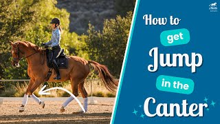 How to Get Your Horse Active in the Canter [upl. by Martineau]