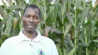 Farming Gods Way Testimony Dickson Shuwali Malawimp4 [upl. by Varipapa]