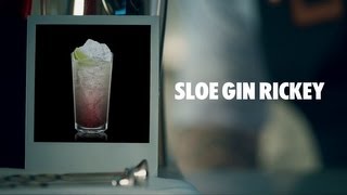 SLOE GIN RICKEY DRINK RECIPE  HOW TO MIX [upl. by Ihtraa945]