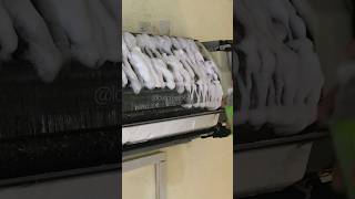 Air Conditioner Cleaning acservice airconcleaning evaporatorcoil coilcleaner HVAC shorts [upl. by Esertak826]