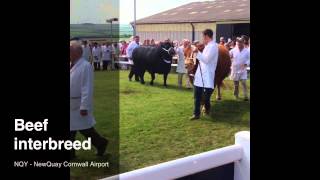 Royal Cornwall Show Highlights [upl. by Killen958]