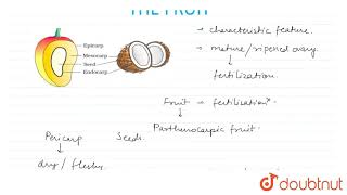 PARTHENOCARPIC FRUIT [upl. by Brinson]