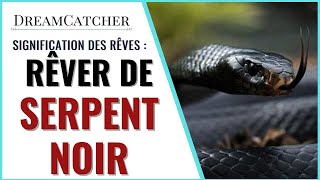 RÊVER DE SERPENT NOIR  SIGNIFICATION INTERPRÉTATIONS amp SYMBOLISME [upl. by Nirac]