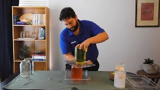 Water salinity and density experiment  At Home Science Experiment  Scitech WA [upl. by Milah]