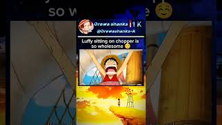 Luffy sitting on Chopper  Luffy and Chopper  Luffy and Ussop  onepiece luffy chopper shorts [upl. by Bent51]