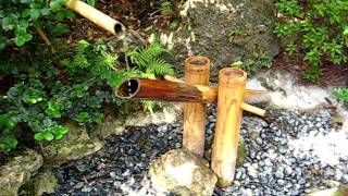 Japanese Bamboo Water Fountain  Morikami Museum amp Japanese Gardens Delray Beach FL [upl. by Lockhart]