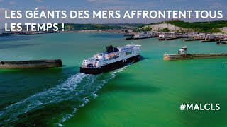 Les géants des mers affrontent tous les temps [upl. by Lsiel]