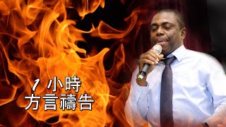 1小時方言禱告part 2 伊美牧師 1 hour prayer in tongue part 2 by Rev Ime [upl. by Felita]