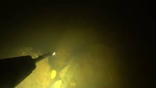 Осеняя подводная охота 26102024 рекf Днепр лещ судак сазан Autumn spearfishing Dnieper river [upl. by Leasa698]