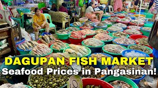 DAGUPAN FISH MARKET TOUR  Pangasinan’s Biggest Seafood Market Prices this August 2024  Philippines [upl. by Ozen]