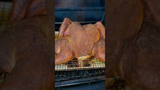 This Tasted Amazing Smoked dry brined injected Turkey [upl. by Ojimmas]