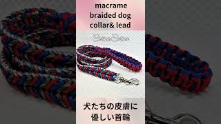 パラコードでマクラメ編み115 中型、大型犬犬首輪＆リード shorts Macrame Braided Dog Collar amp Leash Set [upl. by Ancier629]