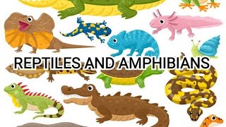 Learn Reptiles learn amphibians learn reptiles and amphibians for kids snake namefrog name [upl. by Crosse]