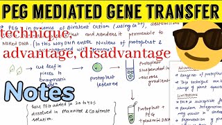 PEG mediated gene transfer Notes 📝😎😎 [upl. by Coward724]