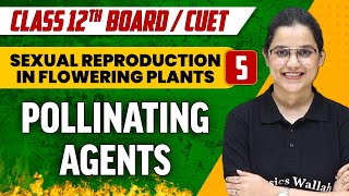 Sexual Reproduction in Flowering Plants 05  Pollinating Agents  Class 12thCUET [upl. by Felicie]