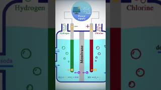 What is🤔 ChlorAlkali Process🤫Class 10th  Most Important💥 topic for board 2025 ytshorts [upl. by Gall]