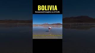 LA LAGUNA COLORADA bolivia boliviano cultura historia descubriendoelmundo documental paises [upl. by Htebazileharas]