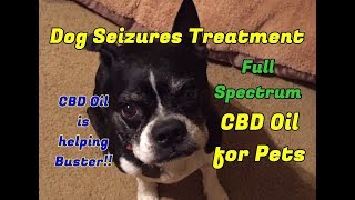 Dog Seizures Treatment  Full Spectrum CBD Oil for Pets [upl. by Latouche638]