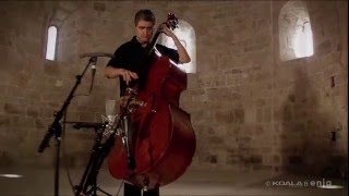 FLAMENCO ON UPRIGHT BASS [upl. by Leay640]