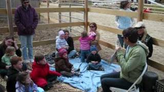 The Recycling Occupational Therapist talks about Hippotherapy [upl. by Tacy547]