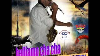 BALLIAMO CHA CHA  Dj Danny C feat Pierre Carrerawmv [upl. by Asilad]