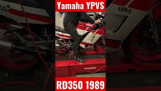 1989 YAMAHA RD350 YPVS [upl. by Ytsihc]