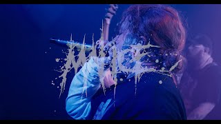 MALICE  4K  MULTICAM FULL SET  NO PLAY FESTIVAL  LIVERPOOL  070924 [upl. by Duer]