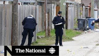 Winnipeg on edge after string of homicides [upl. by Dacy411]