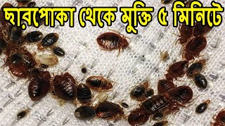 Bed Bugছারপোকাউলুস থেকে কিভাবে মুক্তি পাবেন  Bed Bug killing only 5 minutes [upl. by Docila766]