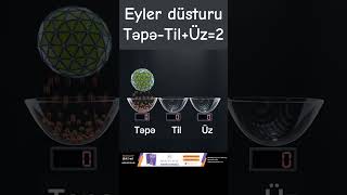 Eyler düsturu TəpəTilÜz2 Riyaziyyat RF [upl. by Rafe]