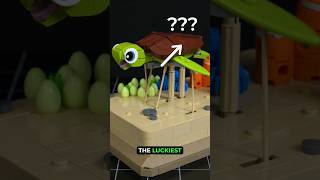 My Luckiest LEGO Building Moment lego turtle machine [upl. by Gunas]