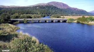 Bywyd Gwyllt Glaslyn Wildlife  Ffrwd Byw  Live Stream 2 [upl. by Theda]