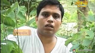 Ayurvedic Benefits of Desmodium Gangeticum for Pregnancy Problem  Acharya Balkrishna [upl. by Etteniuqna]