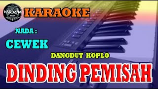 DINDING PEMISAH KARAOKE REMIX DANGDUT KOPLO WMK [upl. by Nnylecoj20]