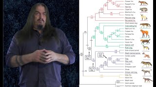 Micro and Macroevolution [upl. by Honeyman]