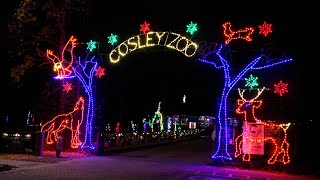 Cosley Zoo’s Festival of Lights brings seasonal sparkle [upl. by Rufford384]