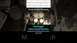 quotGreat Drum Grooves Meshuggah Poly Funquotshorts drums [upl. by Namilus63]