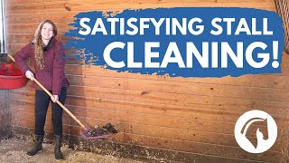 HOW TO CLEAN A HORSE STALL StepByStep [upl. by Melak498]