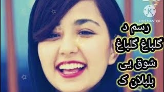 Afghan new edited Song 2023  Gulbagh Gulbagh رسم د گلباغ گلباغ شوق یی بلبلان ک 🍁معرفتی فالووو 🍁کن [upl. by Carley335]