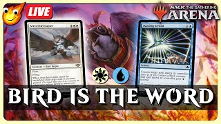 🔴 LIVE  Azorious Birds In Standard amp Explorer  Budget MTG Arena [upl. by Rabassa]