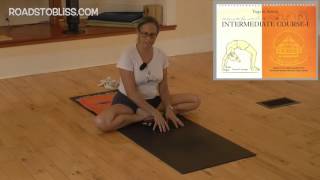 Toward Padmasana with Rebecca Lerner  Senior Intermediate Iyengar Yoga Teacher [upl. by Hoy]